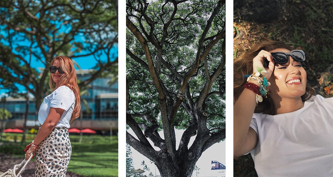Honolulu, Oahu, Banyan Tree, Hawaii